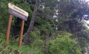 Flathead Lake Beardance Trail