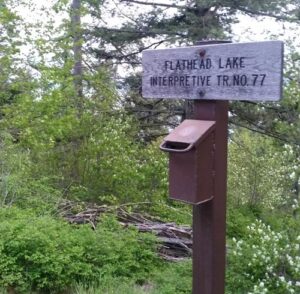 Camping  and Hiking Around Flathead Lake